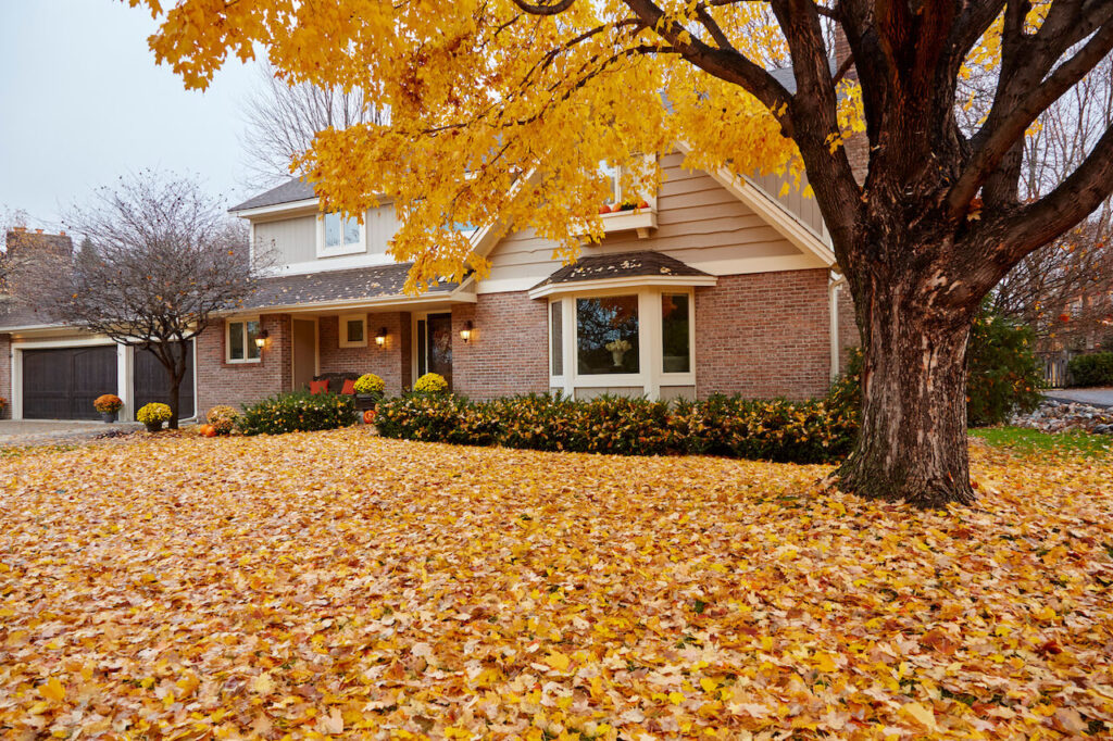 home surrounded by autumn leaves